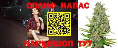 дживик Аша