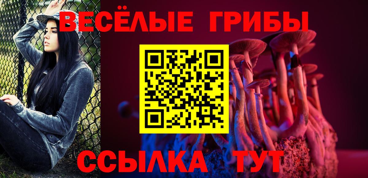 Галлюциногенные грибы прущие грибы Великий Новгород